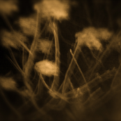 Intermittence EP.2: Pressure