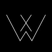 Don't Fall Into Snake Eyes - Single