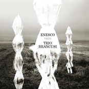 Enesco: Trios