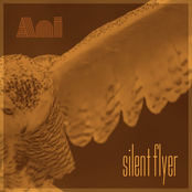 Silent Flyer
