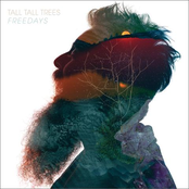 Tall Tall Trees: Freedays