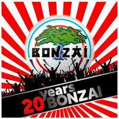 20 Years Bonzai
