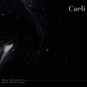 Caeli