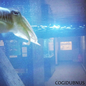 Cogidubnus