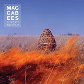 Pelican by The Maccabees