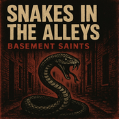 Snakes in the Alleys