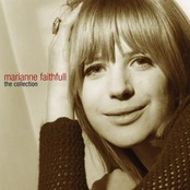 The Collection cover