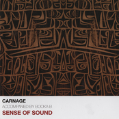 Sense Of Sound