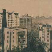 Что-то помимо выживания