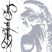 Discography 2017-2021