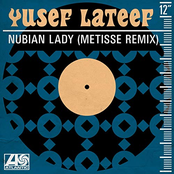 Nubian Lady (Metisse Remix)