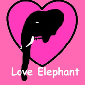Love Elephant