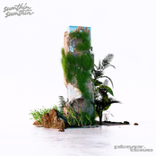 Sumthin Sumthin: Narrow