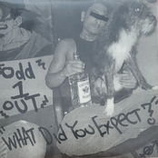 What Did You Expect?