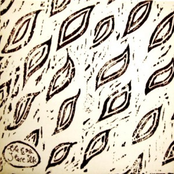 The Egg Store Ilk (Pilot-1)