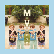 Prison Simulator Baseball