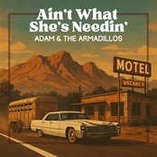 Ain't What She's Needin'