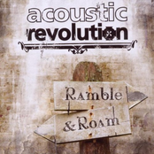 Once In A While by Acoustic Revolution