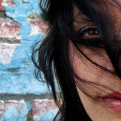 Shannon Curtis: Why Don't You Stay?