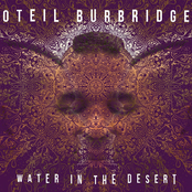Oteil Burbridge: Water in the Desert