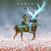 Dream