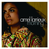 Earn My Affection by Amel Larrieux