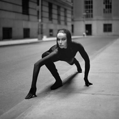 Mimikry [RZCM 46694]