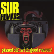 Pissed Off With Good Reason by The Subhumans