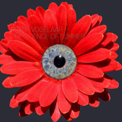 The Science Of Summer