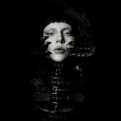 Avatar for Lady Gaga