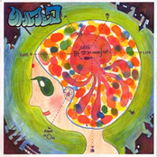 White Peach Jellyfish