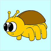 Bug Jar