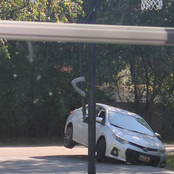 lady beetle // cruel stability