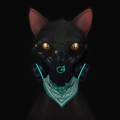Gato de Noche - Single