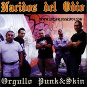 Orgullo Punk & Skin