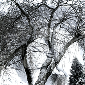 i don't want to feel like this