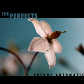 End Of Us by The Perfects