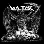 Vultör
