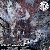 Still Life Moving Fast by Empress Ad