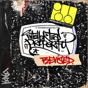 Intellektual Property: Revised