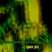 Flatulent Swamps