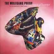 Everything Is Beautiful / A Retrospective 1983-1995