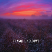 Tranquil Meadows