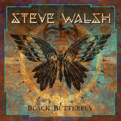 Steve Walsh: Black Butterfly