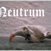 Neutrum