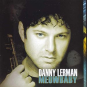 No Ordinary Love by Danny Lerman