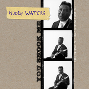 Love Affair by Muddy Waters