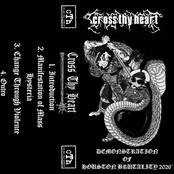 Demonstration Of Houston Brutality 26'