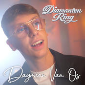 Diamanten Ring