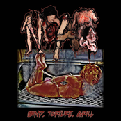 Bind, Torture, Grill